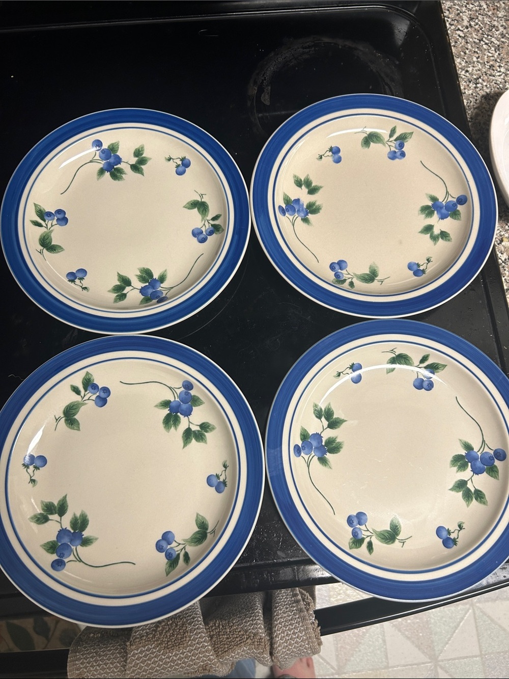 Set Of 4 L.L.Bean Retired Blueberry Dinner Plates 8.5” Blue Rim Berry Stoneware